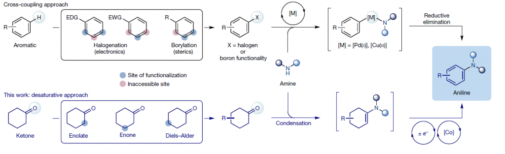 approach to anilines