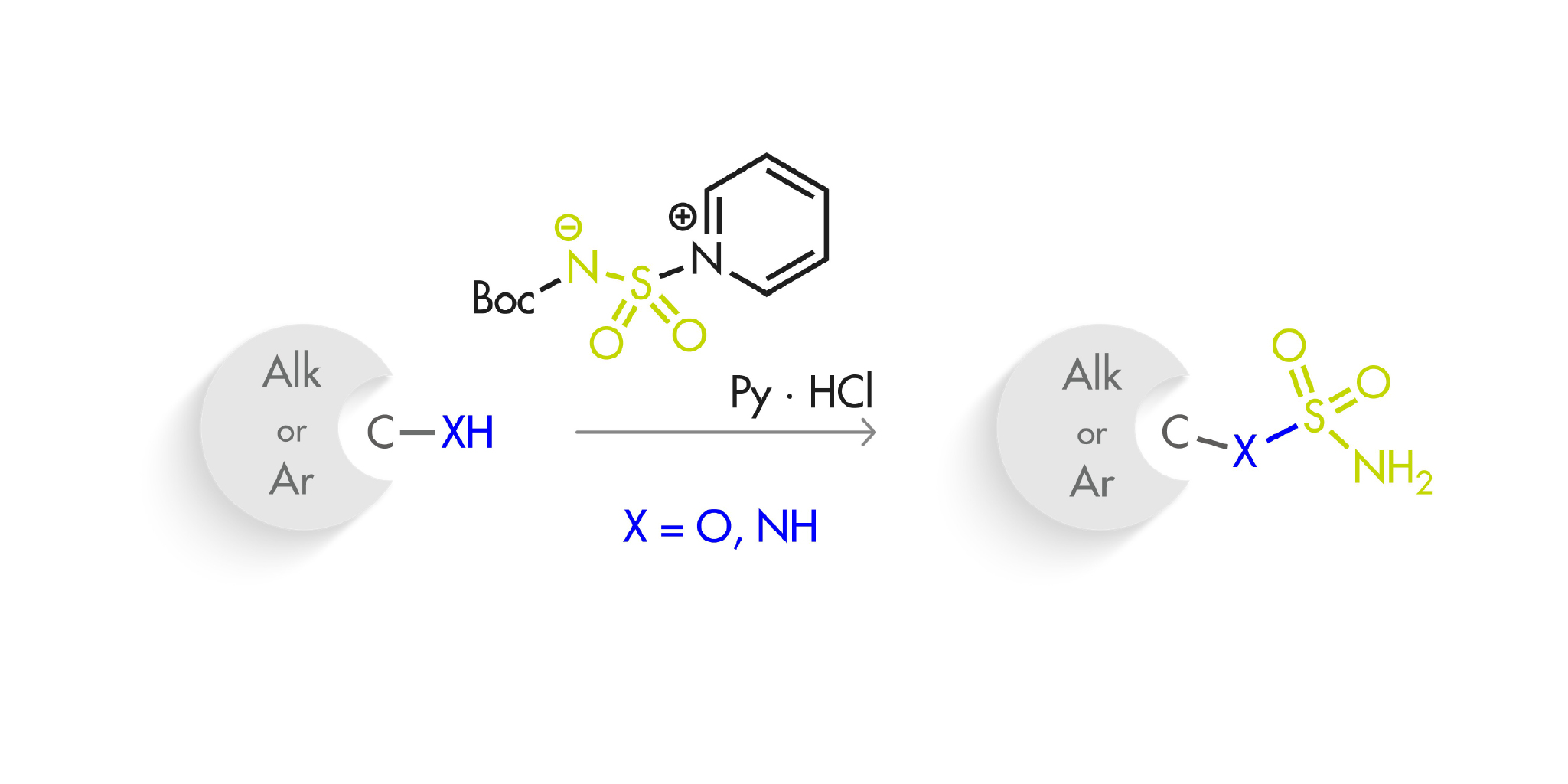 A selective sulfamoylation agent