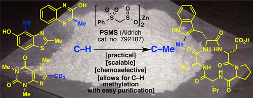 Radical Methylation using PSMS