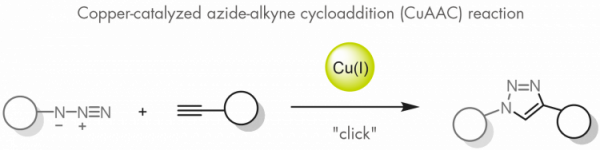 GalChimia - copper catalyzed azide-alkyne cycloaddition